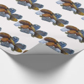 Opgepolijst Rocks Cadeaupapier (Hoek)