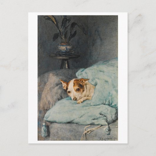 Opgerold - Dog Briefkaart (Voorkant)