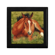 Opgerold - Restend vee