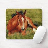 Opgerold - Resting Foal Mousepad Muismat (Met muis)