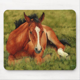 Opgerold - Resting Foal Mousepad Muismat