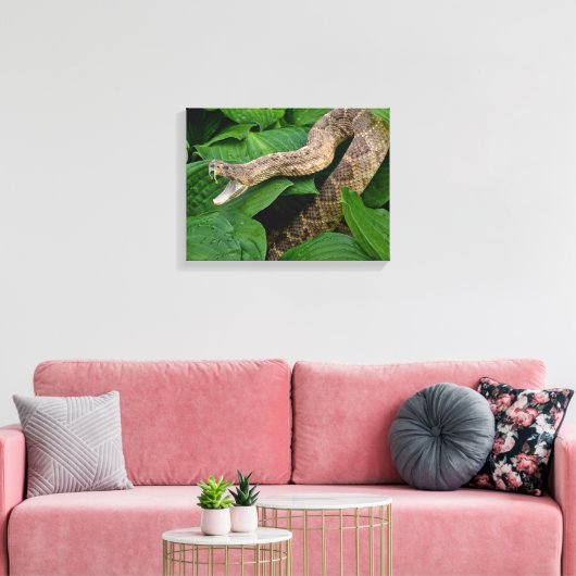Opgerolde ratelslang in Hosta-plant Canvas Afdruk (Insitu (Woonkamer))