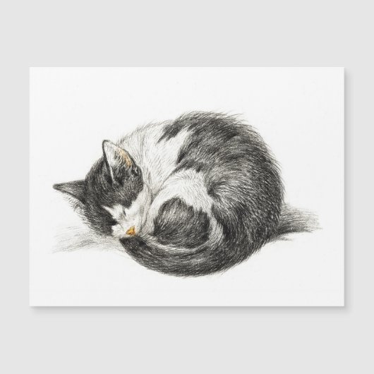 Opgerolde slaapkat (1825) (Voorkant)