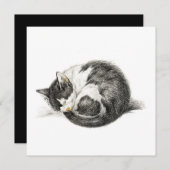 Opgerolde slaapkat (1825) (Voorkant / Achterkant)