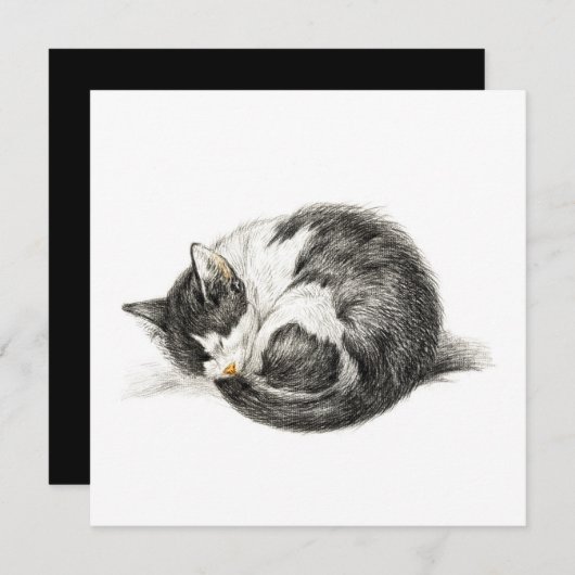 Opgerolde slaapkat (1825) (Voorkant / Achterkant)