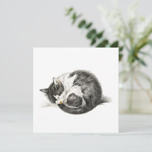 Opgerolde slaapkat (1825) (Staand voorkant)