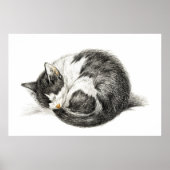 Opgerolde slaapkat (1825) poster (Voorkant)