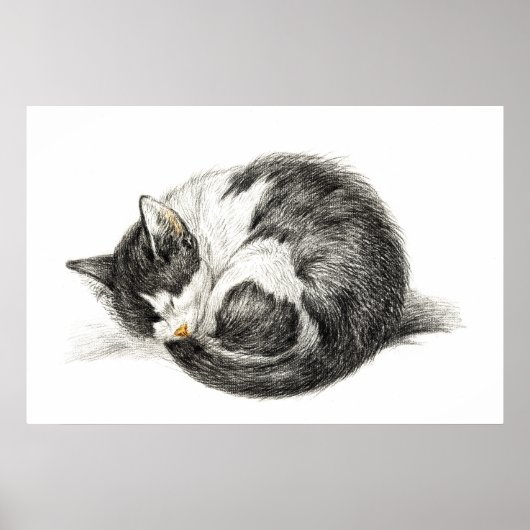 Opgerolde slaapkat (1825) poster (Voorkant)