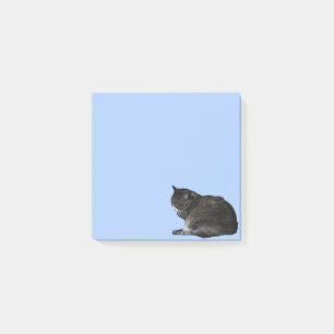 Opgerolde Tabby Kat Foto Knipsel Blauw Post-it® Notes