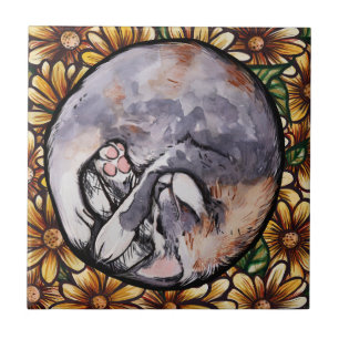 Opgerolde verdunde Calico Kitty Cat Tegeltje