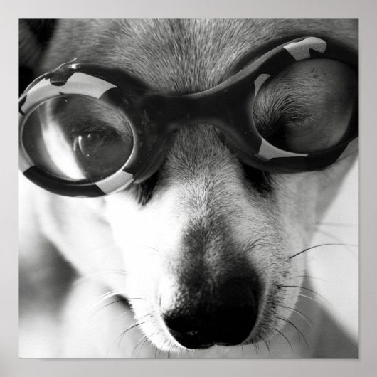 opgeruimd poster (Voorkant)