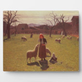 Opgeruimde hoop fotoplaat (Voorkant)