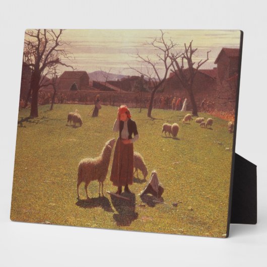 Opgeruimde hoop fotoplaat (Zijkant)