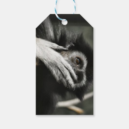Opgeschokte Apen Aangepaste Gift Tags Cadeaulabel (Voorkant)