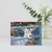 Opgesloten Geit Briefkaart (Staand voorkant)