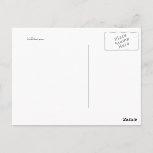 Opgesloten Geit Briefkaart (Achterkant)