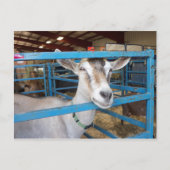 Opgesloten Geit Briefkaart (Voorkant)