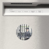 Opgesloten in Dublin Magneet (Insitu (Vaatwasser))