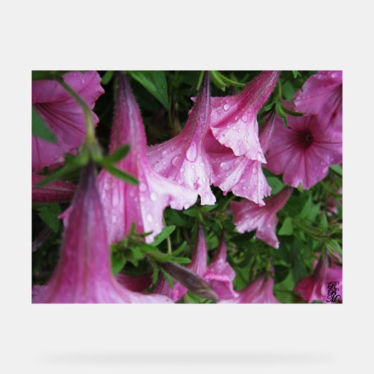 Opgespannen canvasprint acryl bord (Voorkant)
