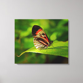 Opgespannen canvasprint canvas afdruk