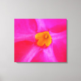 Opgespannen canvasprint canvas afdruk