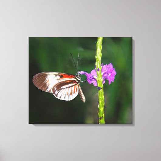 Opgespannen canvasprint canvas afdruk (Voorkant)