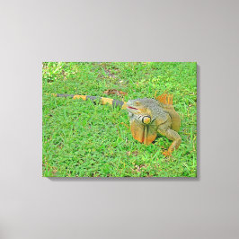 Opgespannen canvasprint canvas afdruk