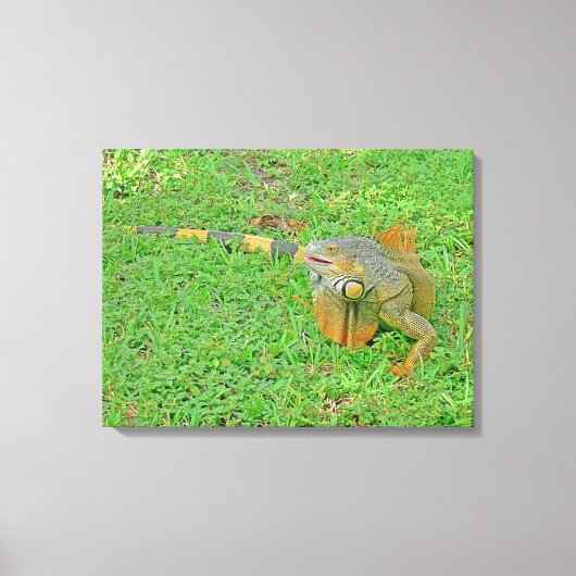 Opgespannen canvasprint canvas afdruk (Voorkant)