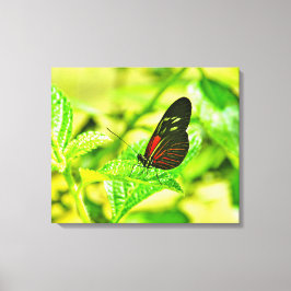 Opgespannen canvasprint canvas afdruk