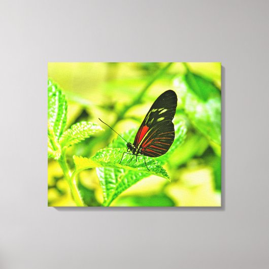 Opgespannen canvasprint canvas afdruk (Voorkant)