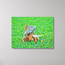 Opgespannen canvasprint canvas afdruk