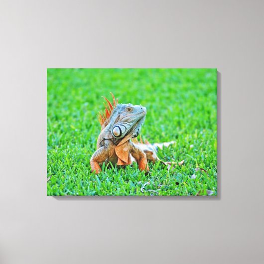 Opgespannen canvasprint canvas afdruk (Voorkant)