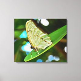 Opgespannen canvasprint canvas afdruk