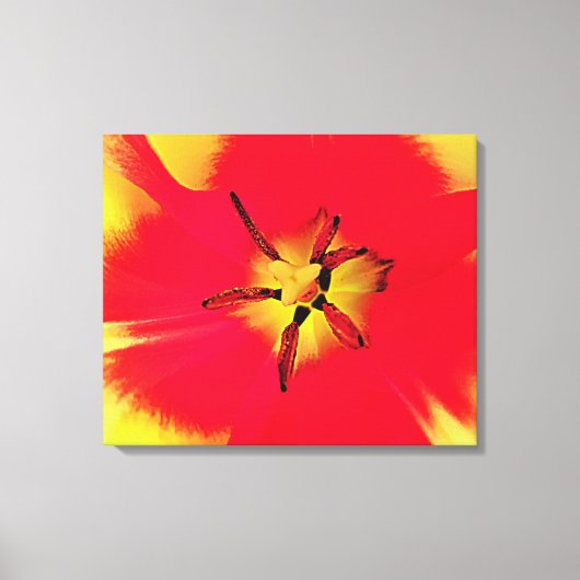Opgespannen canvasprint canvas afdruk (Voorkant)