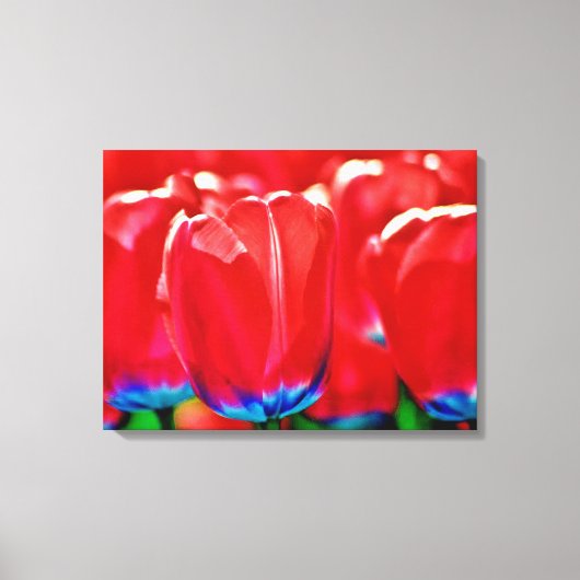 Opgespannen canvasprint canvas afdruk (Voorkant)
