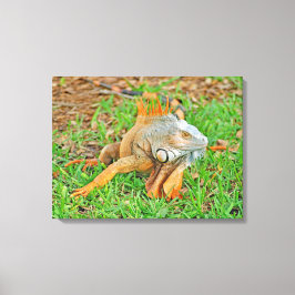 Opgespannen canvasprint canvas afdruk