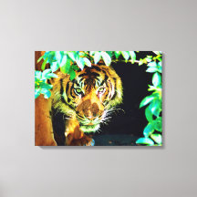 Opgespannen canvasprint