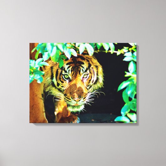 Opgespannen canvasprint canvas afdruk (Voorkant)