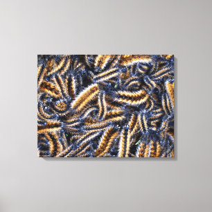 Opgespannen canvasprint canvas afdruk