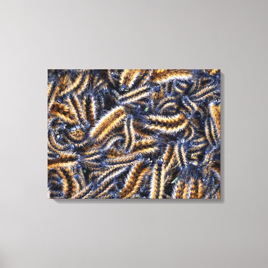 Opgespannen canvasprint canvas afdruk (Voorkant)
