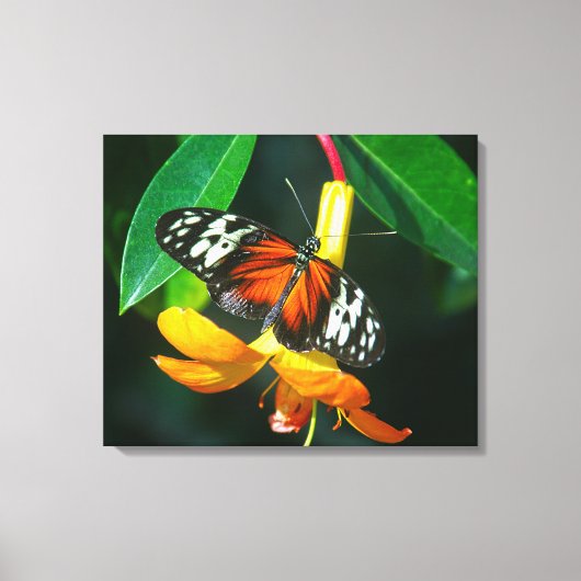 Opgespannen canvasprint canvas afdruk (Voorkant)