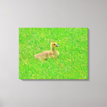 Opgespannen Canvasprint