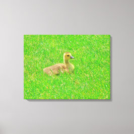 Opgespannen Canvasprint Canvas Afdruk
