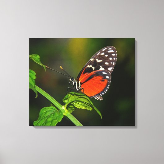 Opgespannen canvasprint canvas afdruk (Voorkant)