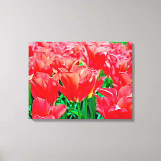 Opgespannen canvasprint tulpen canvas afdruk