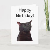 Opgevouwen Kaart Zoned Out Cat Meme (Voorkant)