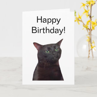 Opgevouwen Kaart Zoned Out Cat Meme