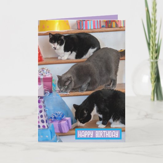 Opgevouwen wenskaart kaart (Voorkant)