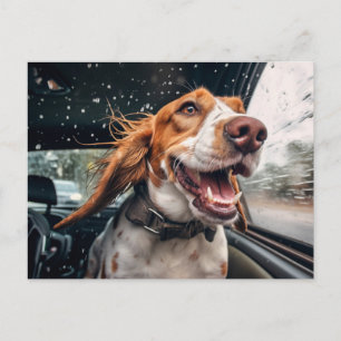 Opgewonden hond op regenachtige autorit art print briefkaart