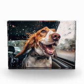 Opgewonden hond op regenachtige autorit art print fotoblokken (Voorkant)